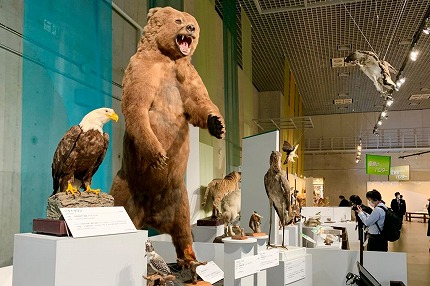 まとめ-総合記事202603055053143