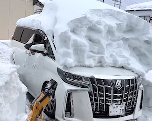 まとめ-総合記事202602150000001