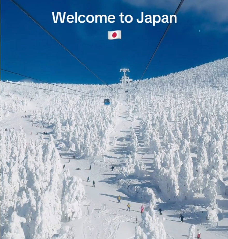 まとめ-総合記事2026021223230000