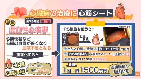 まとめ-総合記事2026022122222845