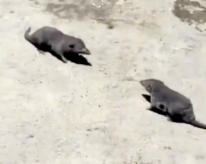 まとめ-総合記事2026021717170023