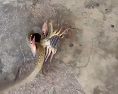 まとめ-総合記事202604090003039