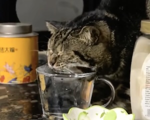 まとめ-総合記事2026021322220018