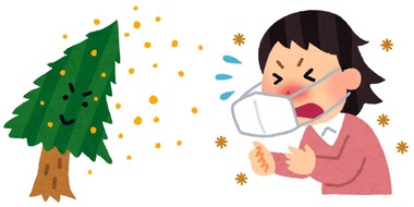 まとめ-総合記事202602252021328