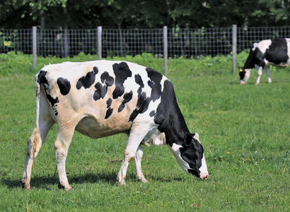 まとめ-総合記事202603101010007