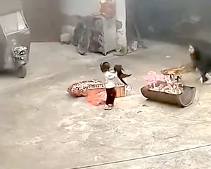 まとめ-総合記事202602110000040