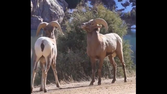 まとめ-ネタ記事2026031012120032