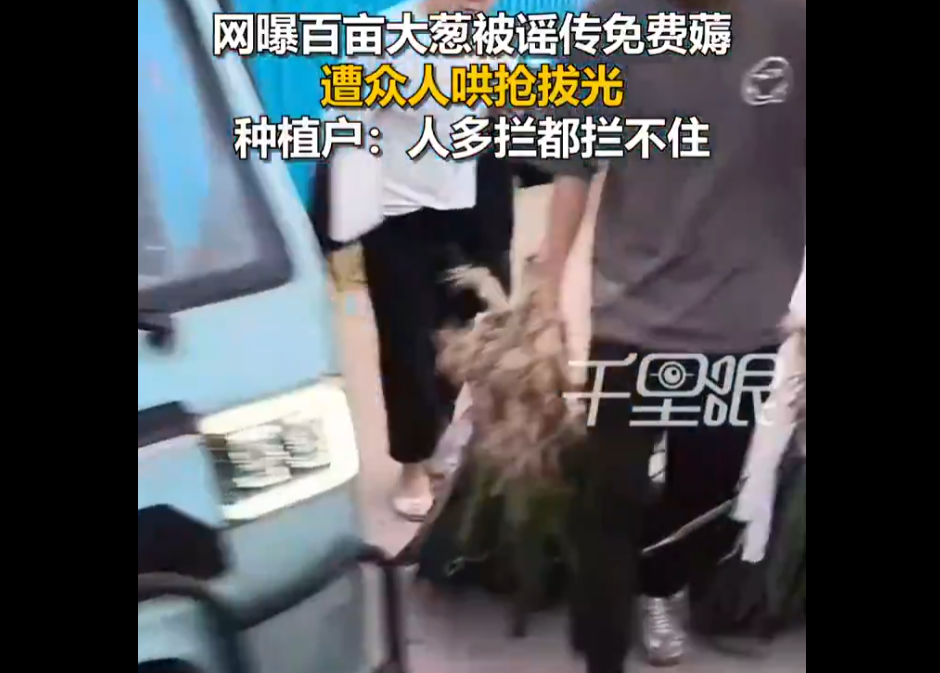 まとめ-総合記事202604090000643