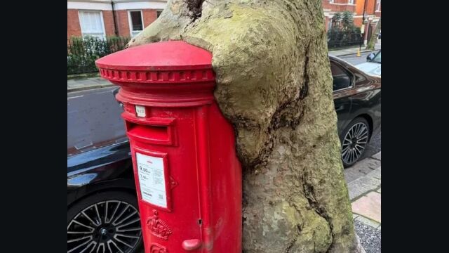 まとめ-ネタ記事2026030812120005