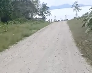 まとめ-総合記事2026022022220024