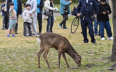 まとめ-総合記事202603262020041
