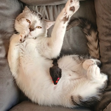 まとめ-総合記事202602222021336