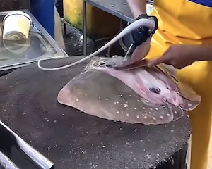 まとめ-総合記事2026040220200014