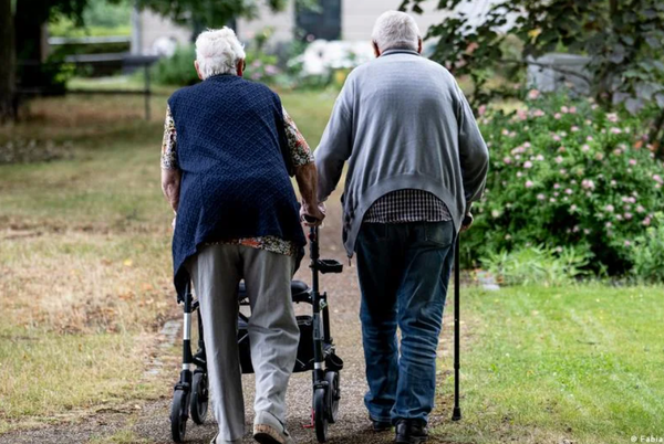 まとめ-総合記事2026031419190426