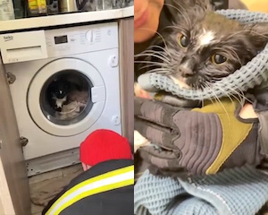 まとめ-総合記事2026021620200037