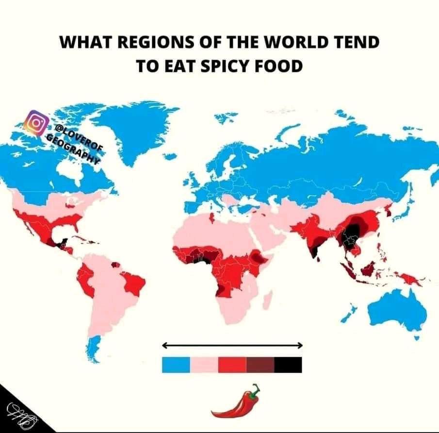 まとめ-総合記事2026040823230000
