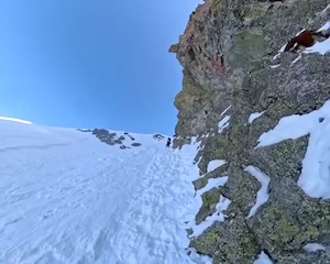 まとめ-総合記事2026031022220026