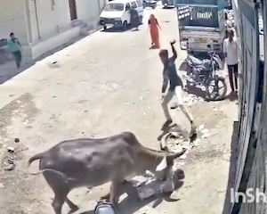 まとめ-総合記事202604050000029