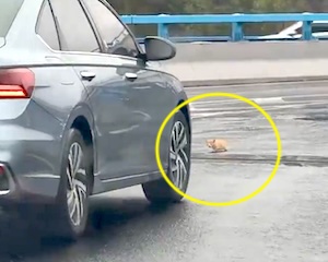 まとめ-総合記事202604020000030