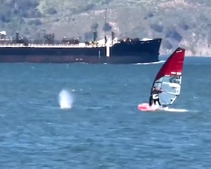 まとめ-総合記事202604030000005